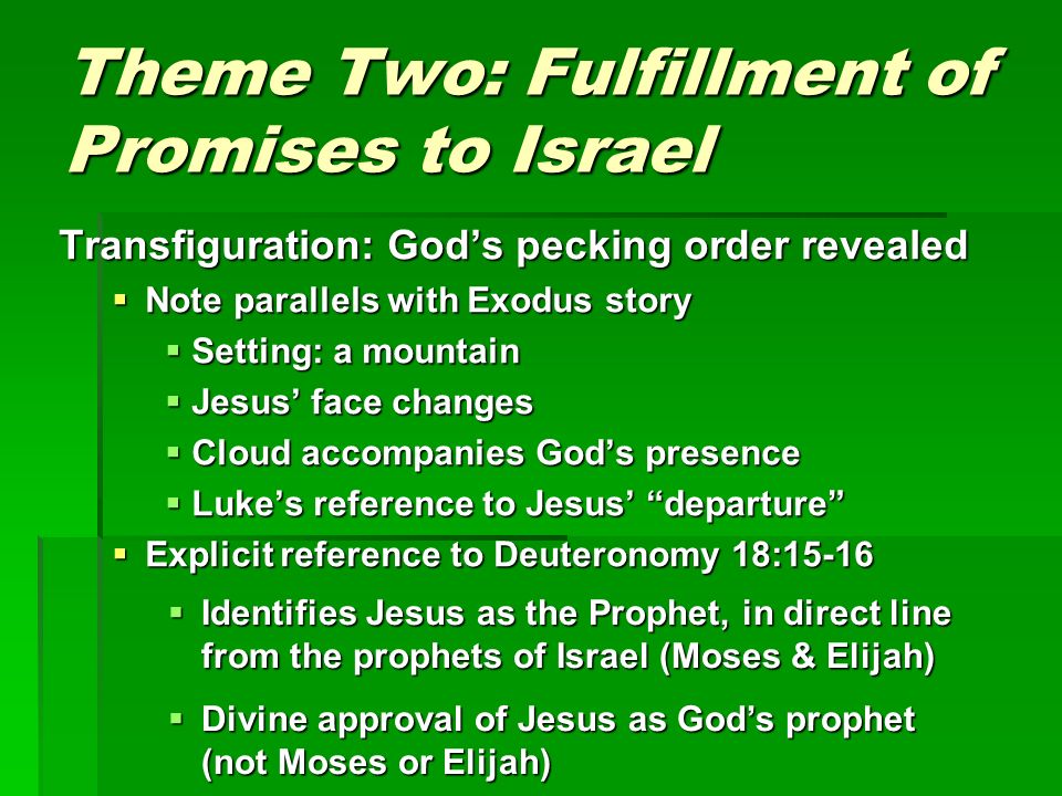 Theme Two: Fulfillment of Promises to Israel Transfiguration: God’s pecking order revealed  Note parallels with Exodus story  Setting: a mountain  Jesus’ face changes  Cloud accompanies God’s presence  Luke’s reference to Jesus’ departure  Explicit reference to Deuteronomy 18:15-16  Identifies Jesus as the Prophet, in direct line from the prophets of Israel (Moses & Elijah)  Divine approval of Jesus as God’s prophet (not Moses or Elijah)