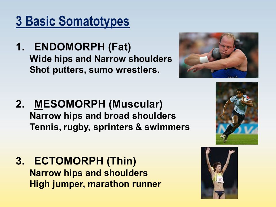 3 Basic Somatotypes 1.ENDOMORPH (Fat) Wide hips and Narrow shoulders Shot putters, sumo wrestlers.