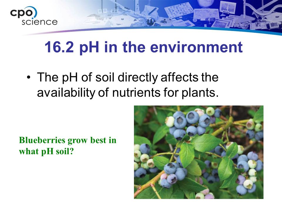 16.2 pH in the environment The pH of soil directly affects the availability of nutrients for plants.