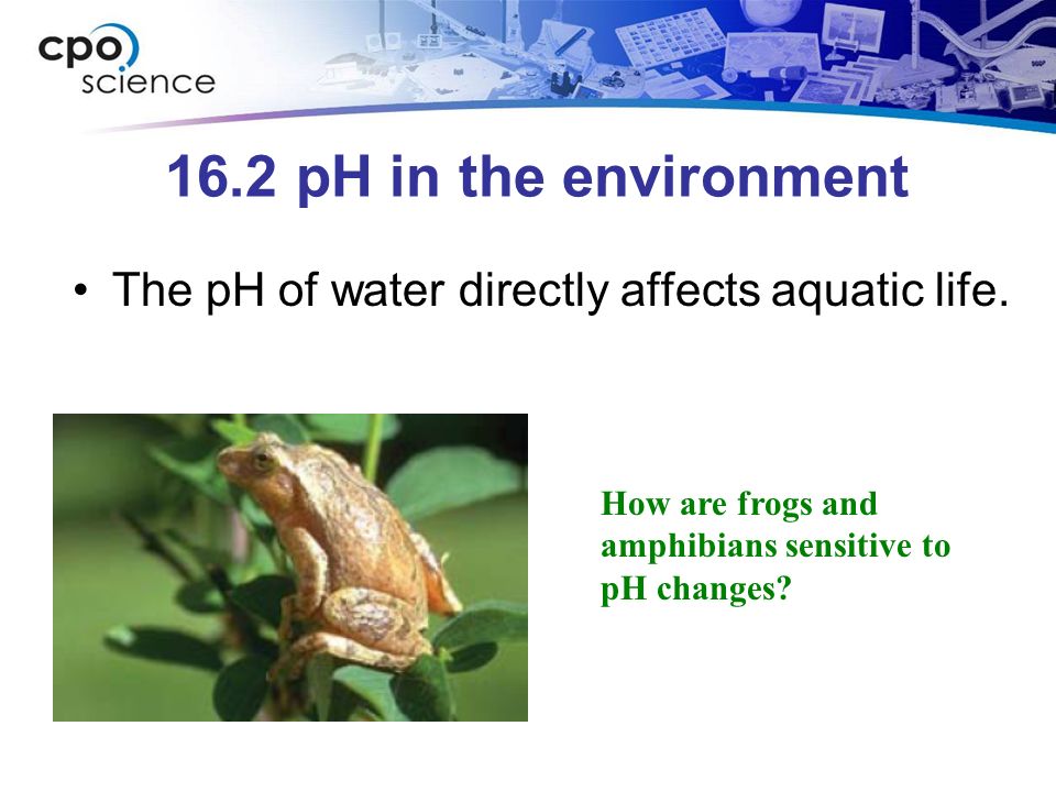 16.2 pH in the environment The pH of water directly affects aquatic life.