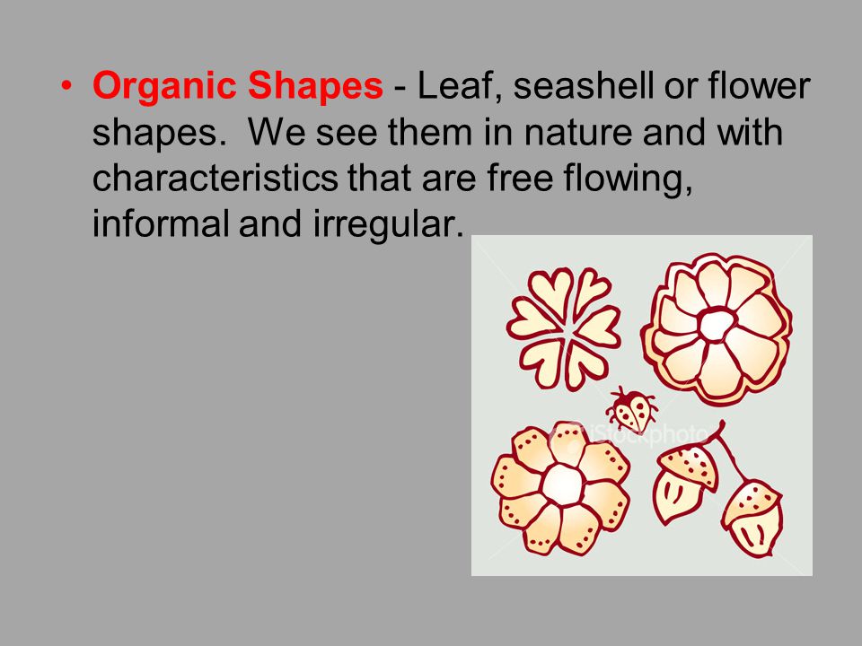 Organic Shapes - Leaf, seashell or flower shapes.