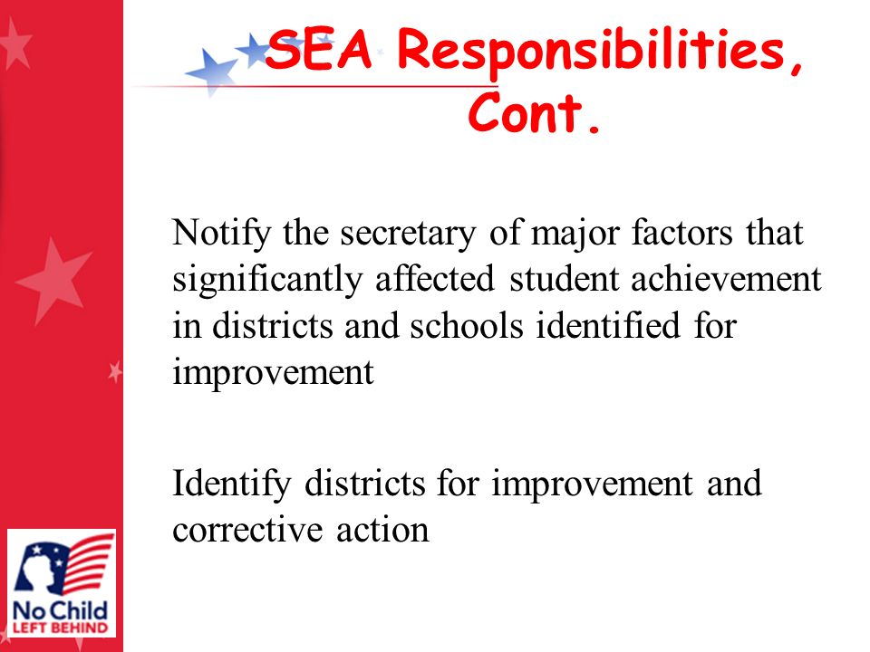 SEA Responsibilities, Cont.