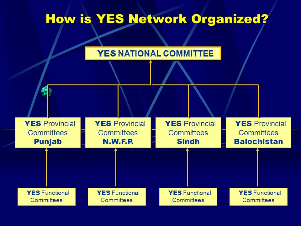 How is YES Network Organized.