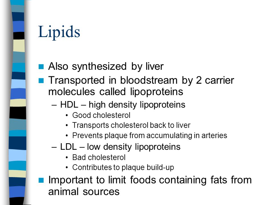 Lipids Also synthesized by liver Transported in bloodstream by 2 carrier molecules called lipoproteins –HDL – high density lipoproteins Good cholesterol Transports cholesterol back to liver Prevents plaque from accumulating in arteries –LDL – low density lipoproteins Bad cholesterol Contributes to plaque build-up Important to limit foods containing fats from animal sources