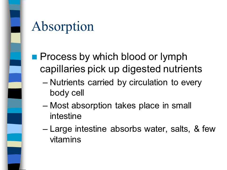 Absorption Process by which blood or lymph capillaries pick up digested nutrients –Nutrients carried by circulation to every body cell –Most absorption takes place in small intestine –Large intestine absorbs water, salts, & few vitamins