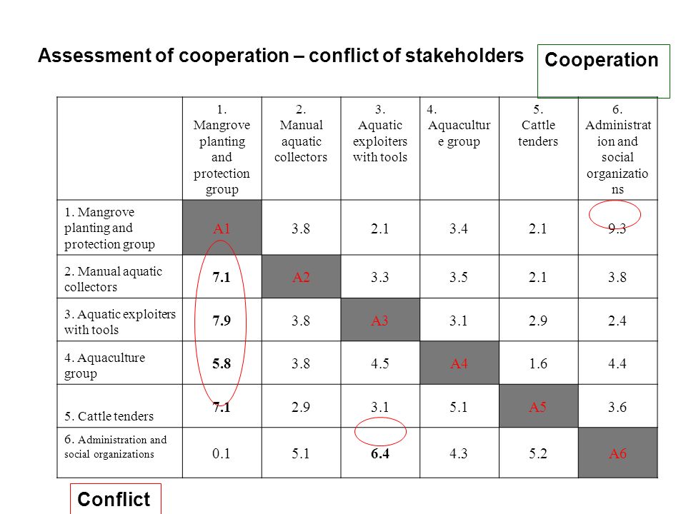 Assessment of cooperation – conflict of stakeholders 1.