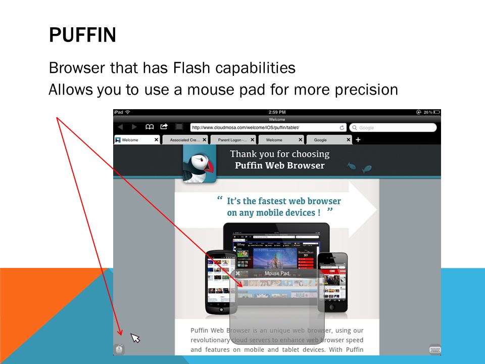 PUFFIN Browser that has Flash capabilities Allows you to use a mouse pad for more precision