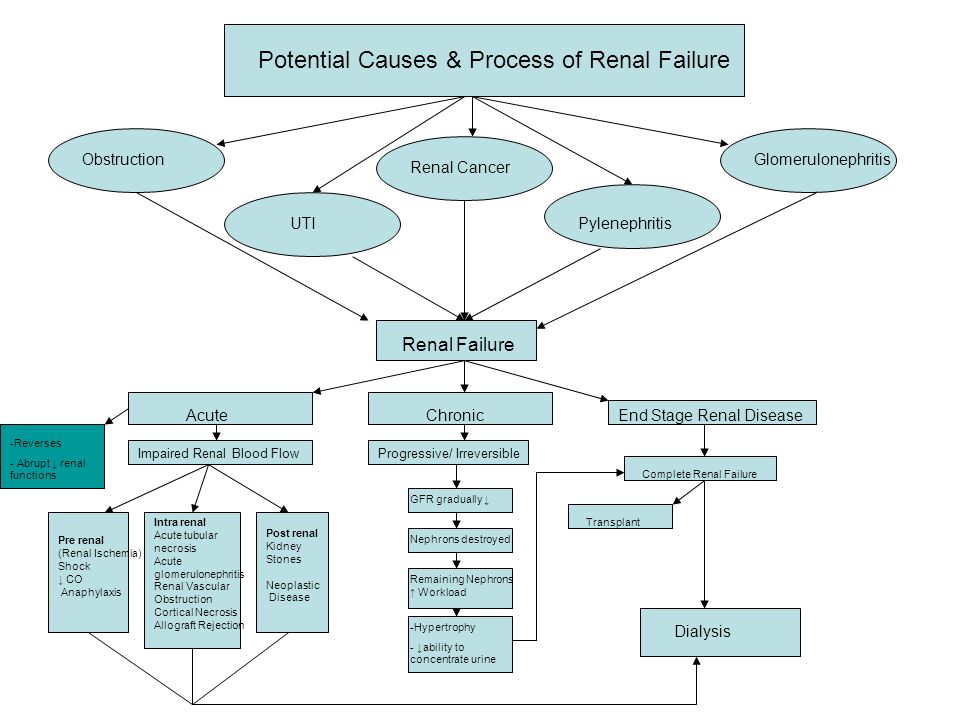 Alterations Of Renal And Urinary Tract Function Concept Maps Gary