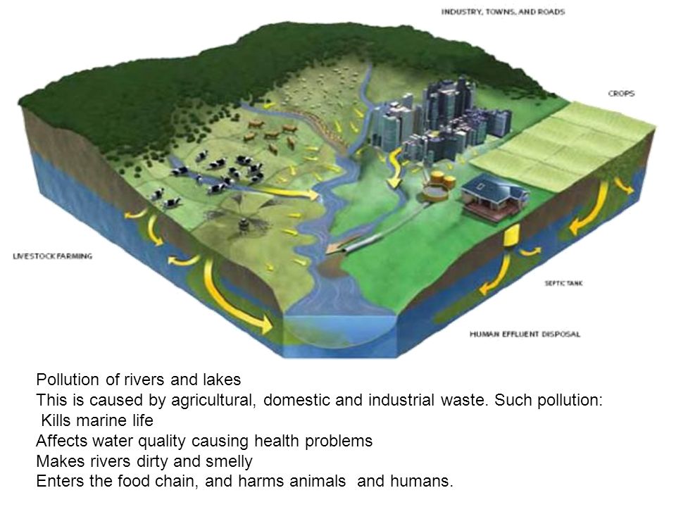 Pollution of rivers and lakes This is caused by agricultural, domestic and industrial waste.