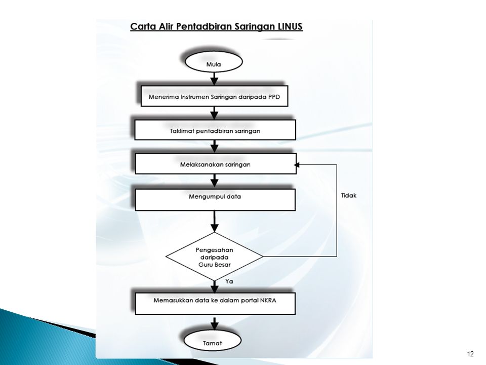 LITERACY IN ENGLISH PROGRAMME - ppt video online download