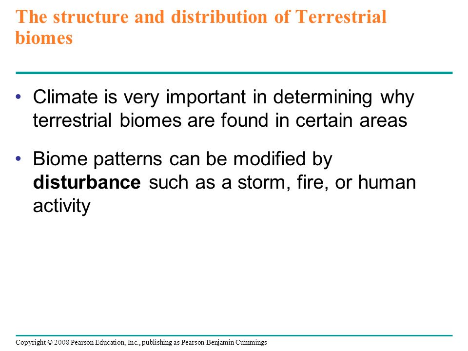Copyright © 2008 Pearson Education, Inc., publishing as Pearson Benjamin Cummings The structure and distribution of Terrestrial biomes Climate is very important in determining why terrestrial biomes are found in certain areas Biome patterns can be modified by disturbance such as a storm, fire, or human activity