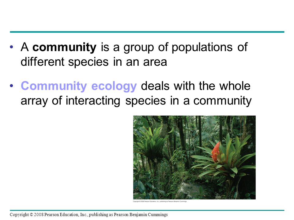 Copyright © 2008 Pearson Education, Inc., publishing as Pearson Benjamin Cummings A community is a group of populations of different species in an area Community ecology deals with the whole array of interacting species in a community