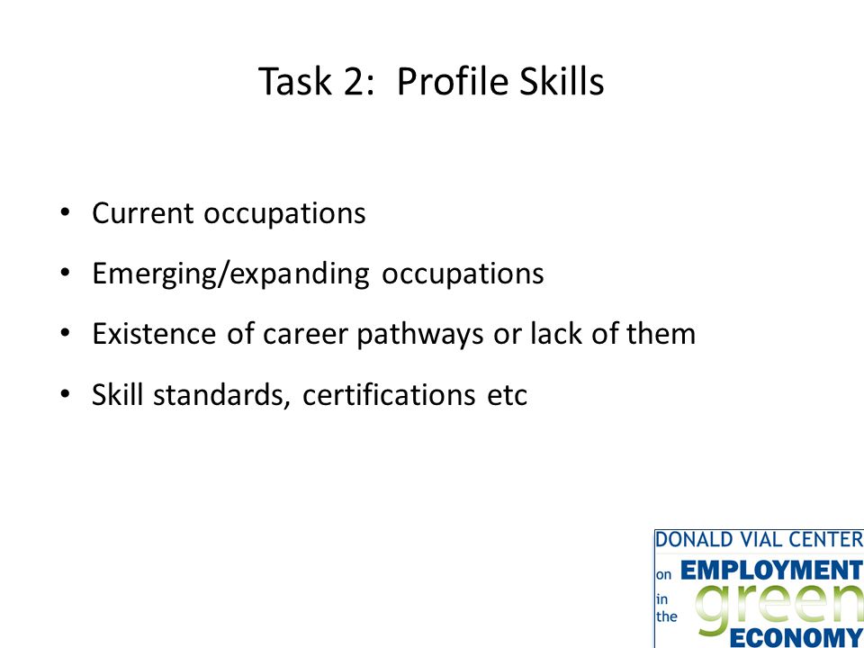 Task 2: Profile Skills Current occupations Emerging/expanding occupations Existence of career pathways or lack of them Skill standards, certifications etc