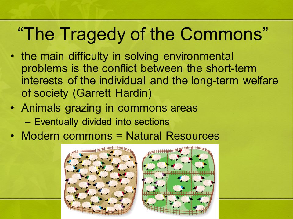 The Tragedy of the Commons the main difficulty in solving environmental problems is the conflict between the short-term interests of the individual and the long-term welfare of society (Garrett Hardin) Animals grazing in commons areas –Eventually divided into sections Modern commons = Natural Resources