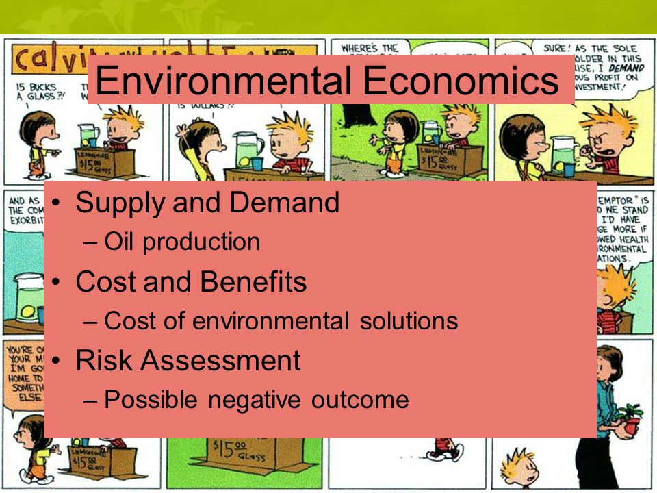 Environmental Economics Supply and Demand –Oil production Cost and Benefits –Cost of environmental solutions Risk Assessment –Possible negative outcome