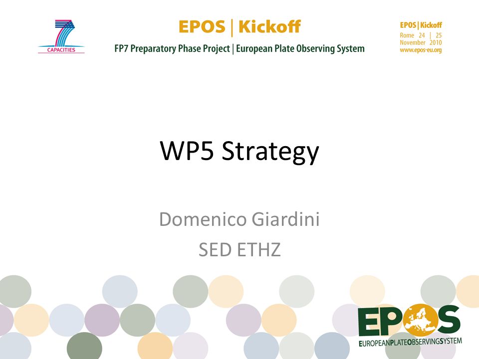 WP5 Strategy Domenico Giardini SED ETHZ