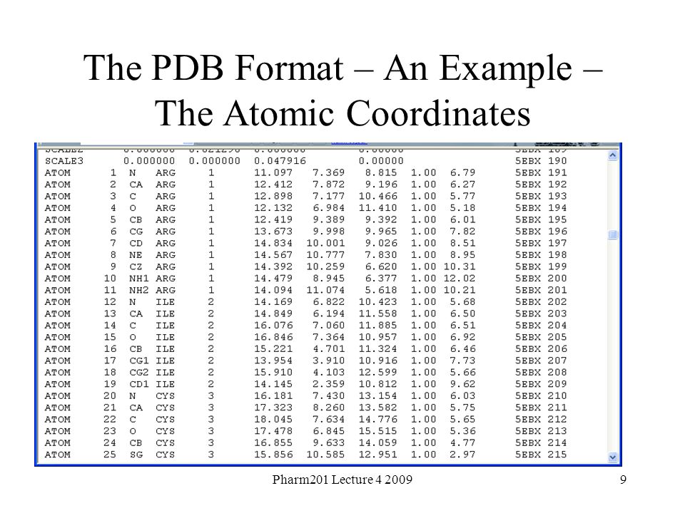 Pharm201 Lecture The PDB Format – An Example – The Atomic Coordinates