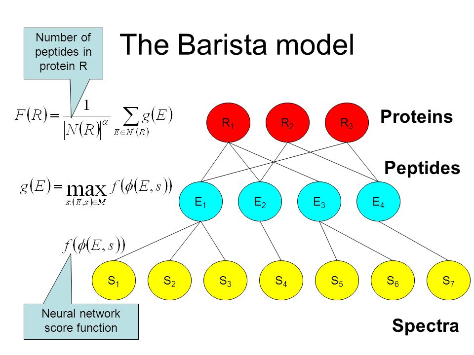 The Barista model R1R1 R2R2 R3R3 E1E1 E2E2 E3E3 E4E4 S1S1 S2S2 S3S3 S4S4 S5S5 S6S6 S7S7 Proteins Peptides Spectra Neural network score function Number of peptides in protein R