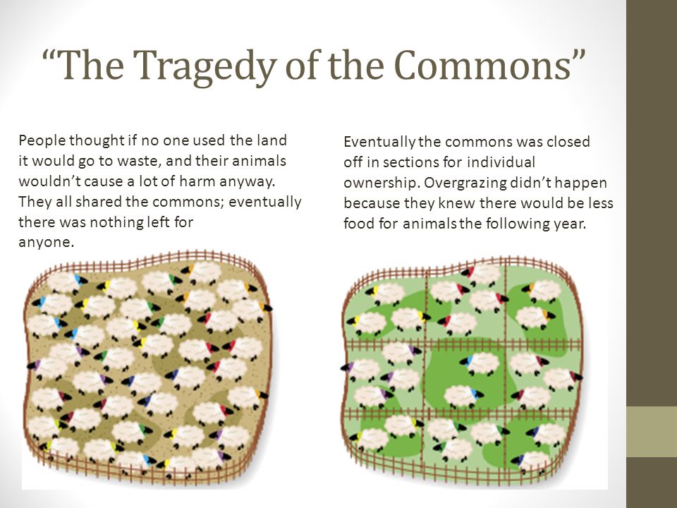The Tragedy of the Commons People thought if no one used the land it would go to waste, and their animals wouldn’t cause a lot of harm anyway.
