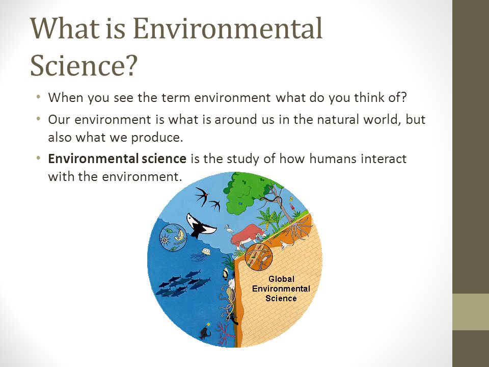 What is Environmental Science. When you see the term environment what do you think of.