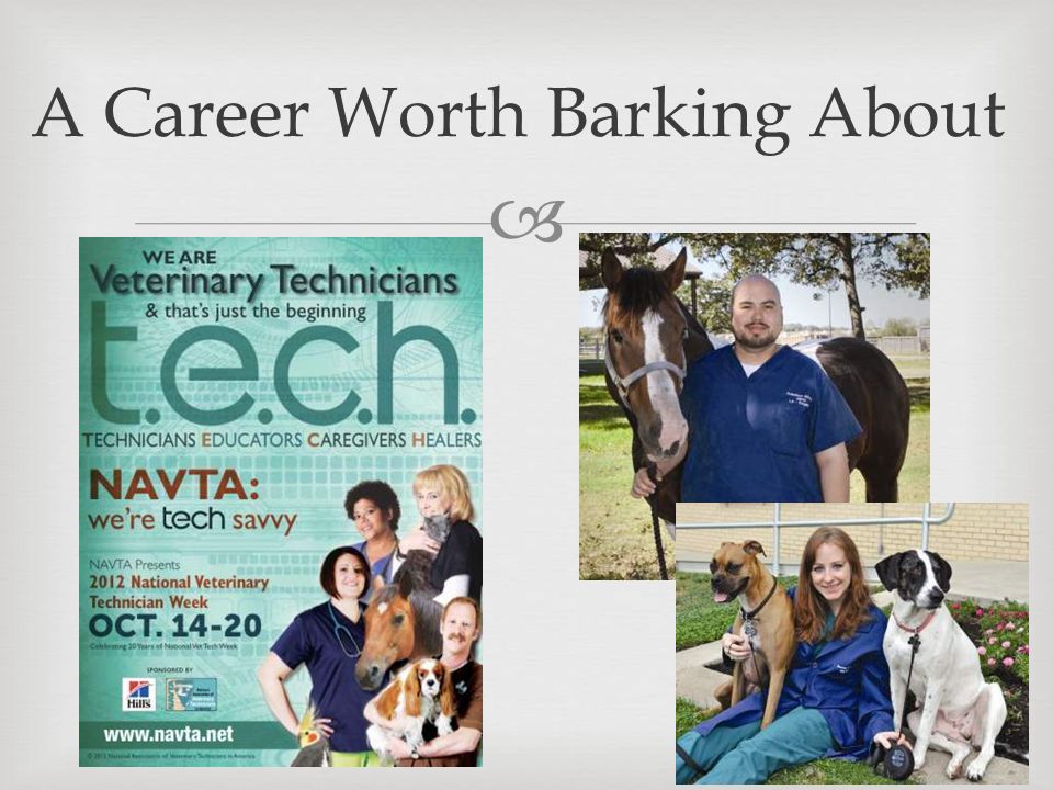  A Career Worth Barking About