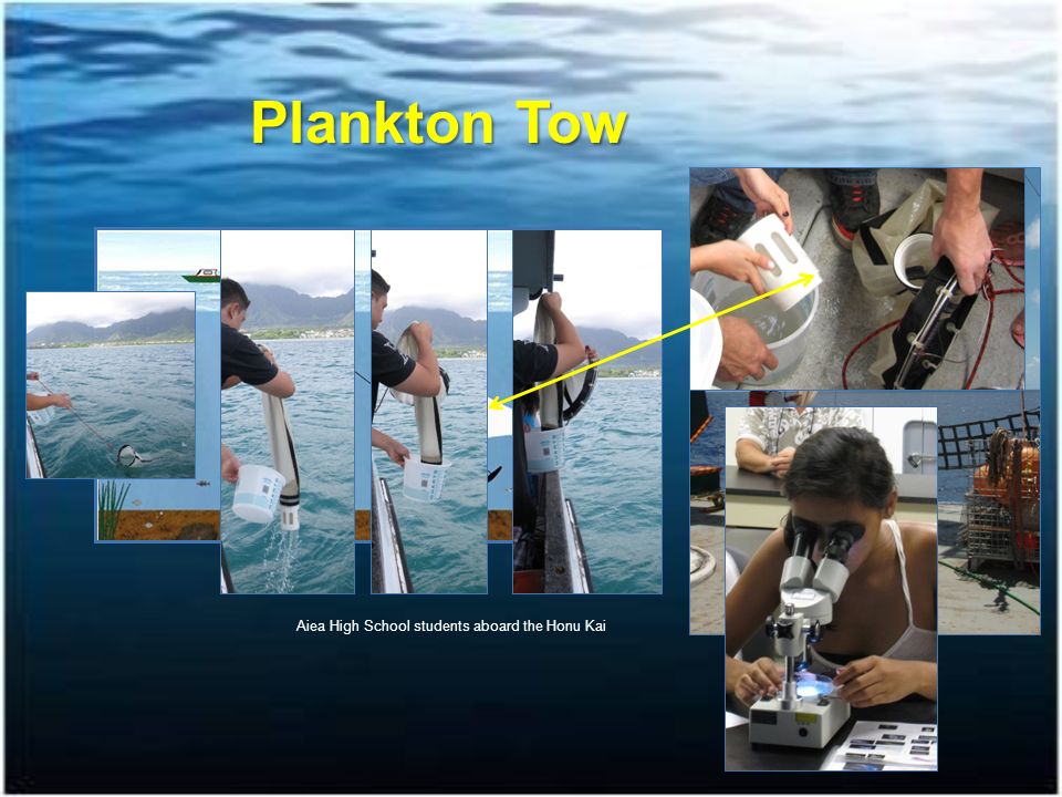 Photo by Alyson Bahr Oceanographic Sampling: Plankton Tow Kahoali