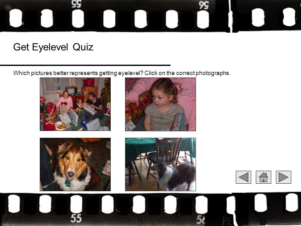 Get Eyelevel Quiz Which pictures better represents getting eyelevel.