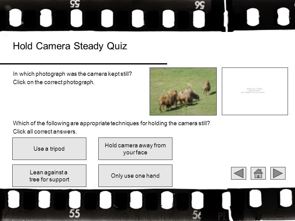 Hold Camera Steady Quiz In which photograph was the camera kept still.