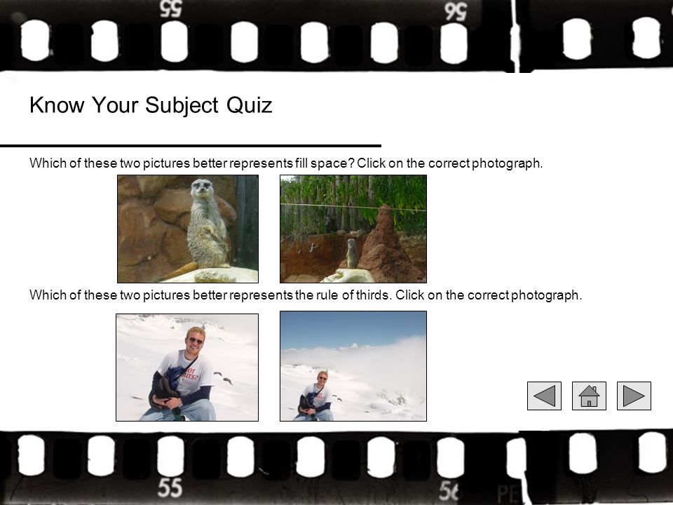 Know Your Subject Quiz Which of these two pictures better represents fill space.