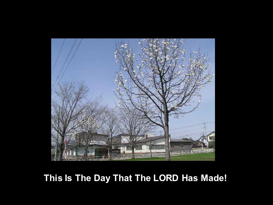 This Is The Day That The LORD Has Made!