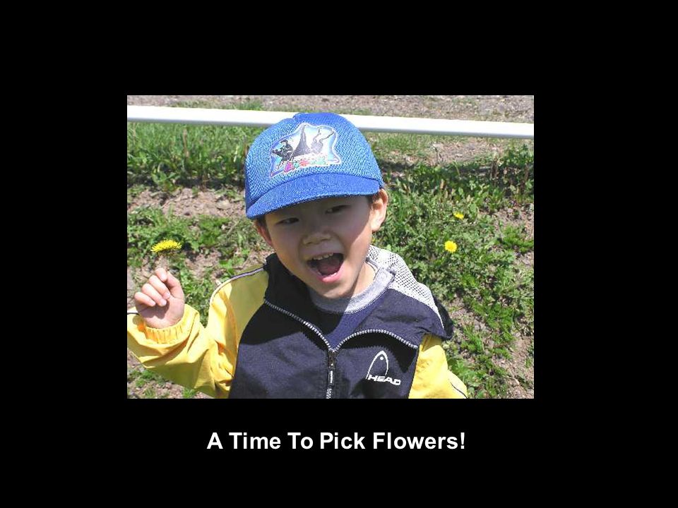 A Time To Pick Flowers!
