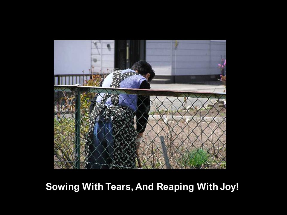 Sowing With Tears, And Reaping With Joy!