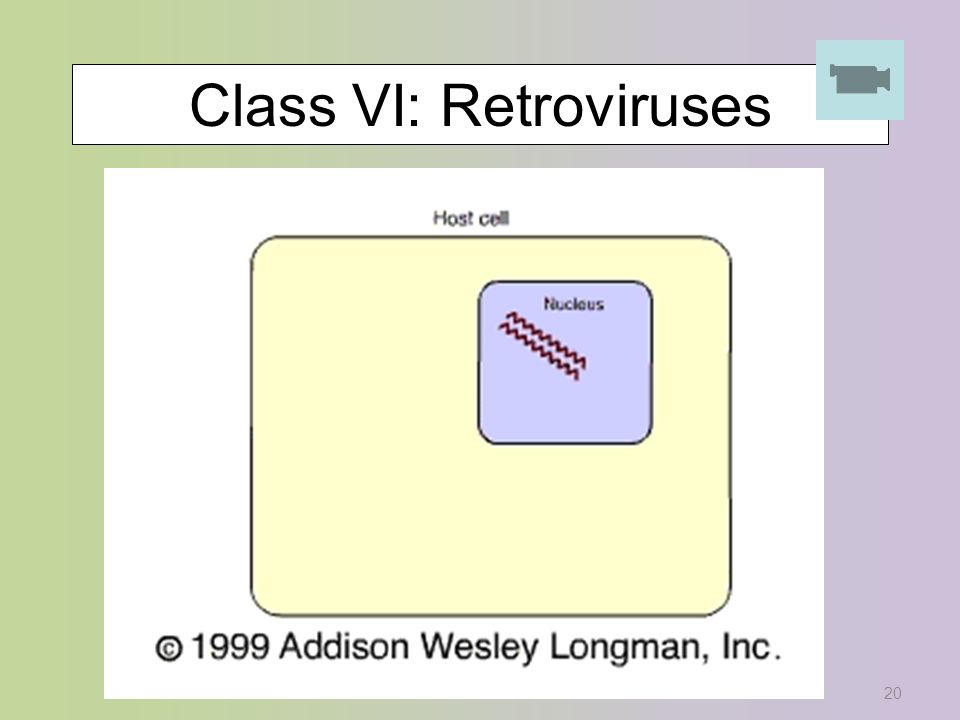20 Class VI: Retroviruses
