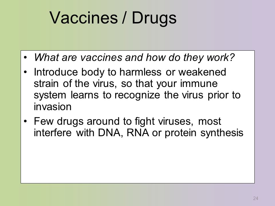 24 Vaccines / Drugs What are vaccines and how do they work.