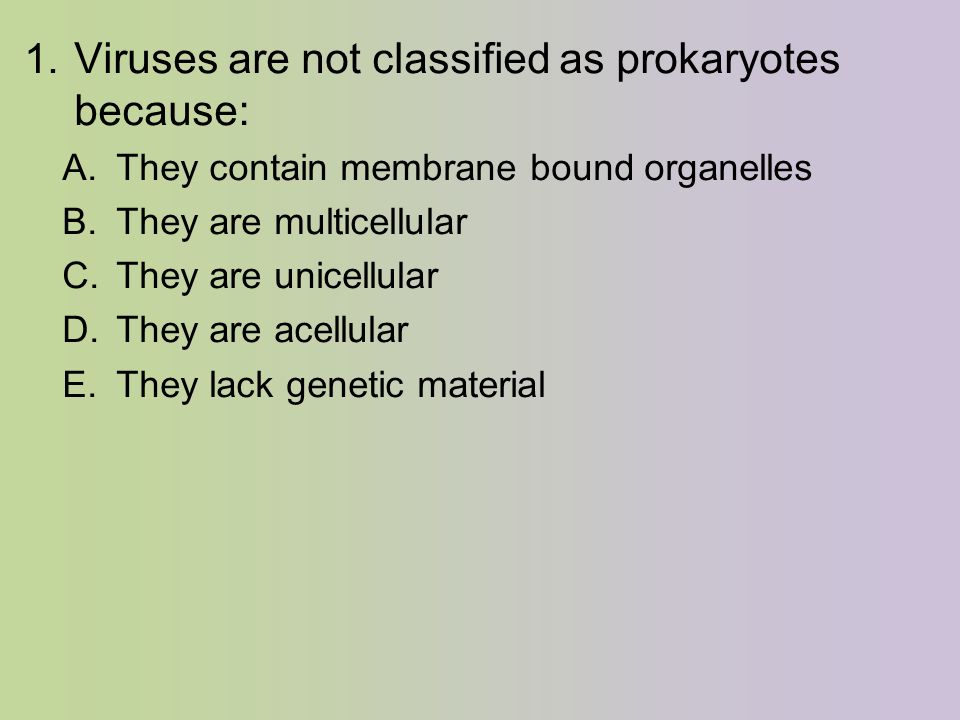 1. Viruses are not classified as prokaryotes because: A.