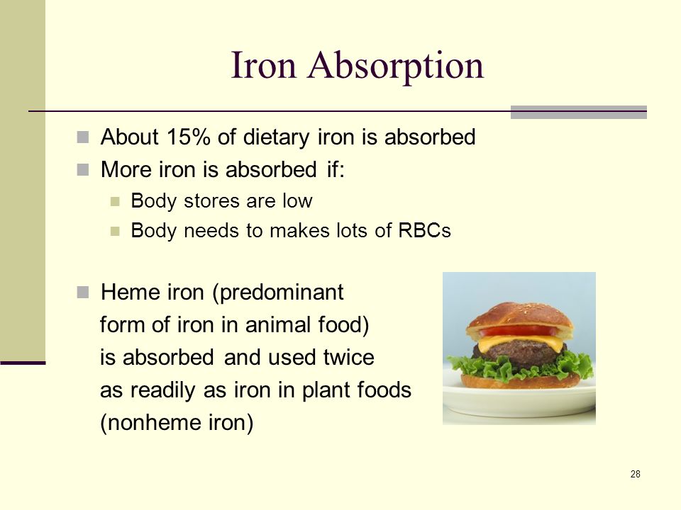 28 Iron Absorption About 15% of dietary iron is absorbed More iron is absorbed if: Body stores are low Body needs to makes lots of RBCs Heme iron (predominant form of iron in animal food) is absorbed and used twice as readily as iron in plant foods (nonheme iron)