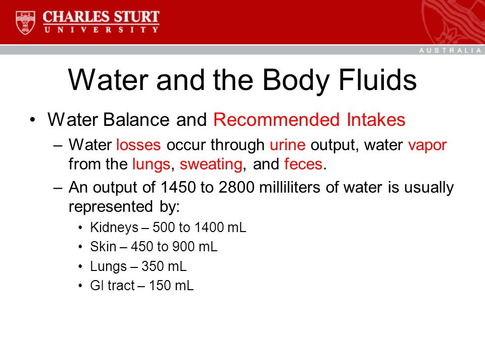 Water and the Body Fluids Water Balance and Recommended Intakes –Water losses occur through urine output, water vapor from the lungs, sweating, and feces.
