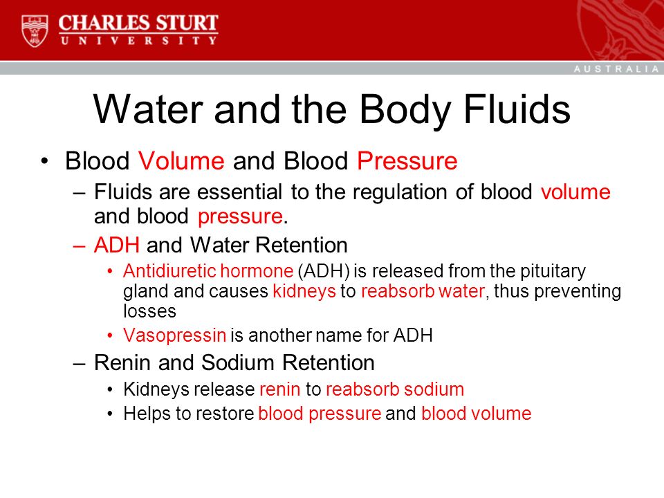 Water and the Body Fluids Blood Volume and Blood Pressure –Fluids are essential to the regulation of blood volume and blood pressure.