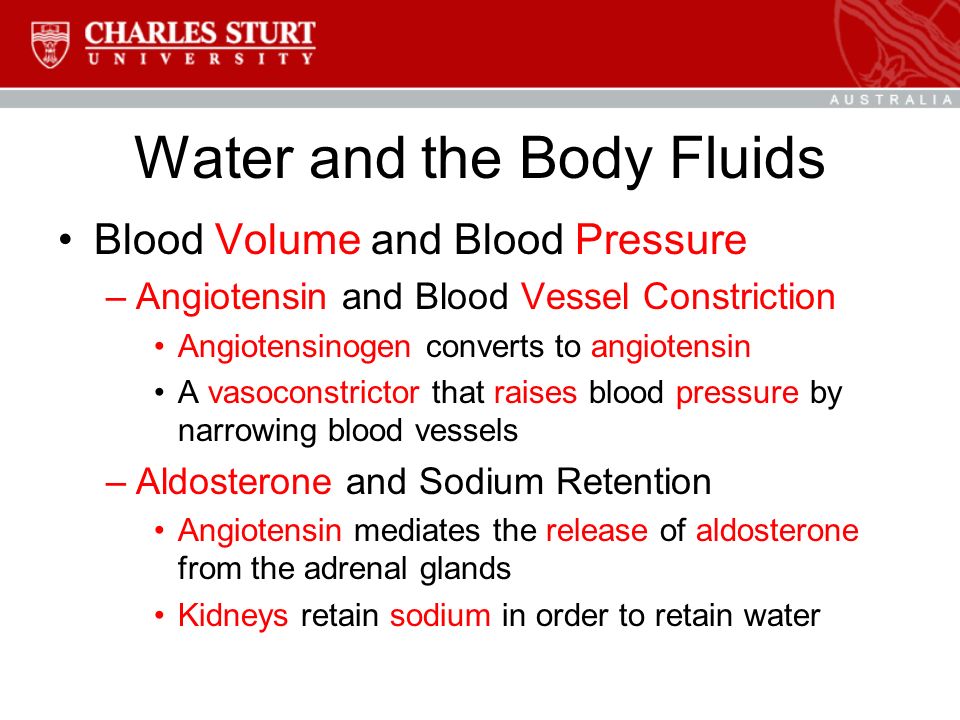 Water and the Body Fluids Blood Volume and Blood Pressure –Angiotensin and Blood Vessel Constriction Angiotensinogen converts to angiotensin A vasoconstrictor that raises blood pressure by narrowing blood vessels –Aldosterone and Sodium Retention Angiotensin mediates the release of aldosterone from the adrenal glands Kidneys retain sodium in order to retain water
