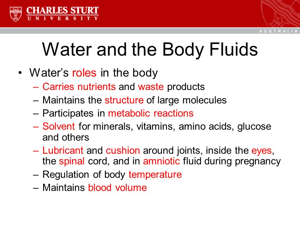 Water and the Body Fluids Water’s roles in the body –Carries nutrients and waste products –Maintains the structure of large molecules –Participates in metabolic reactions –Solvent for minerals, vitamins, amino acids, glucose and others –Lubricant and cushion around joints, inside the eyes, the spinal cord, and in amniotic fluid during pregnancy –Regulation of body temperature –Maintains blood volume