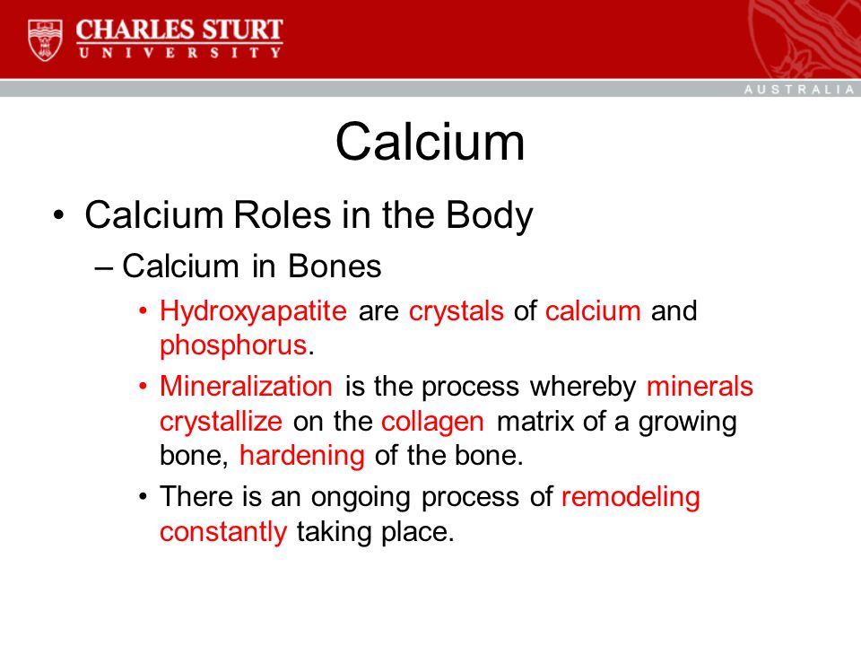 Calcium Calcium Roles in the Body –Calcium in Bones Hydroxyapatite are crystals of calcium and phosphorus.