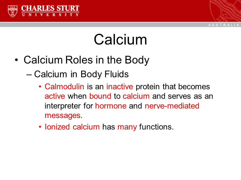 Calcium Calcium Roles in the Body –Calcium in Body Fluids Calmodulin is an inactive protein that becomes active when bound to calcium and serves as an interpreter for hormone and nerve-mediated messages.