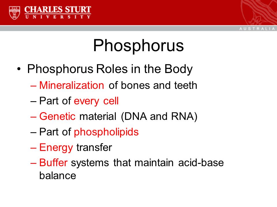 Phosphorus Phosphorus Roles in the Body –Mineralization of bones and teeth –Part of every cell –Genetic material (DNA and RNA) –Part of phospholipids –Energy transfer –Buffer systems that maintain acid-base balance