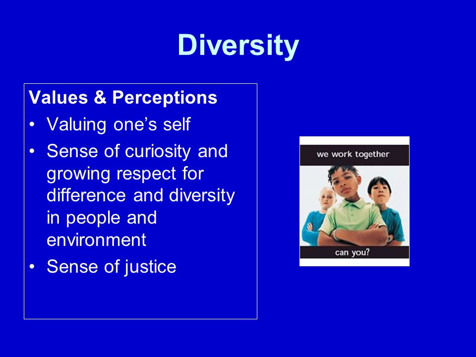 Diversity Values & Perceptions Valuing one’s self Sense of curiosity and growing respect for difference and diversity in people and environment Sense of justice