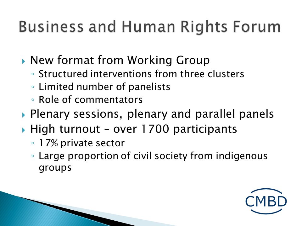  New format from Working Group ◦ Structured interventions from three clusters ◦ Limited number of panelists ◦ Role of commentators  Plenary sessions, plenary and parallel panels  High turnout – over 1700 participants ◦ 17% private sector ◦ Large proportion of civil society from indigenous groups