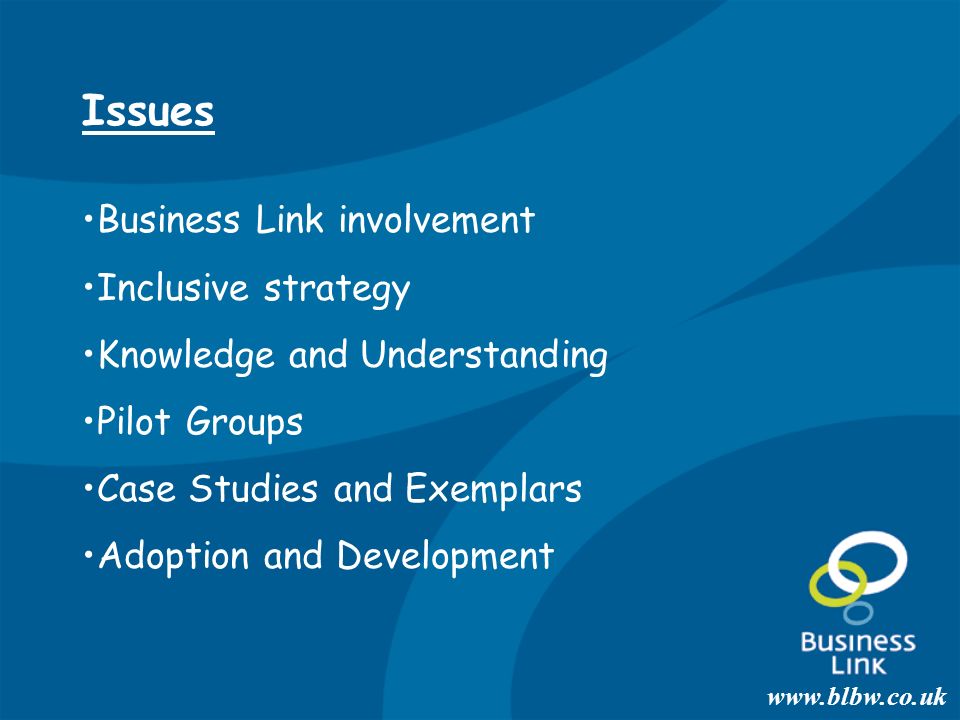 Issues Business Link involvement Inclusive strategy Knowledge and Understanding Pilot Groups Case Studies and Exemplars Adoption and Development