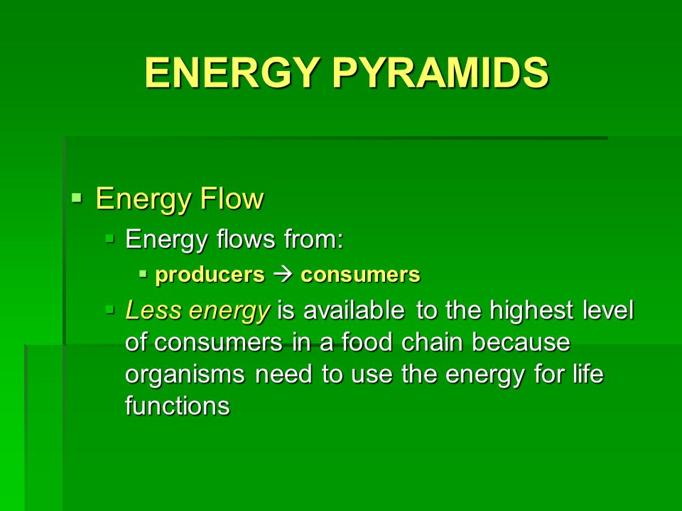 ENERGY PYRAMIDS  Energy Flow  Energy flows from:  producers  consumers  Less energy is available to the highest level of consumers in a food chain because organisms need to use the energy for life functions