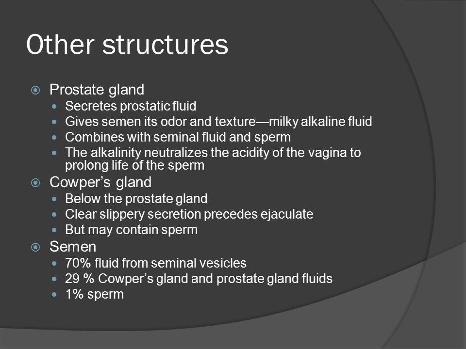 acidity of vagina Bridge to terabithia xxx