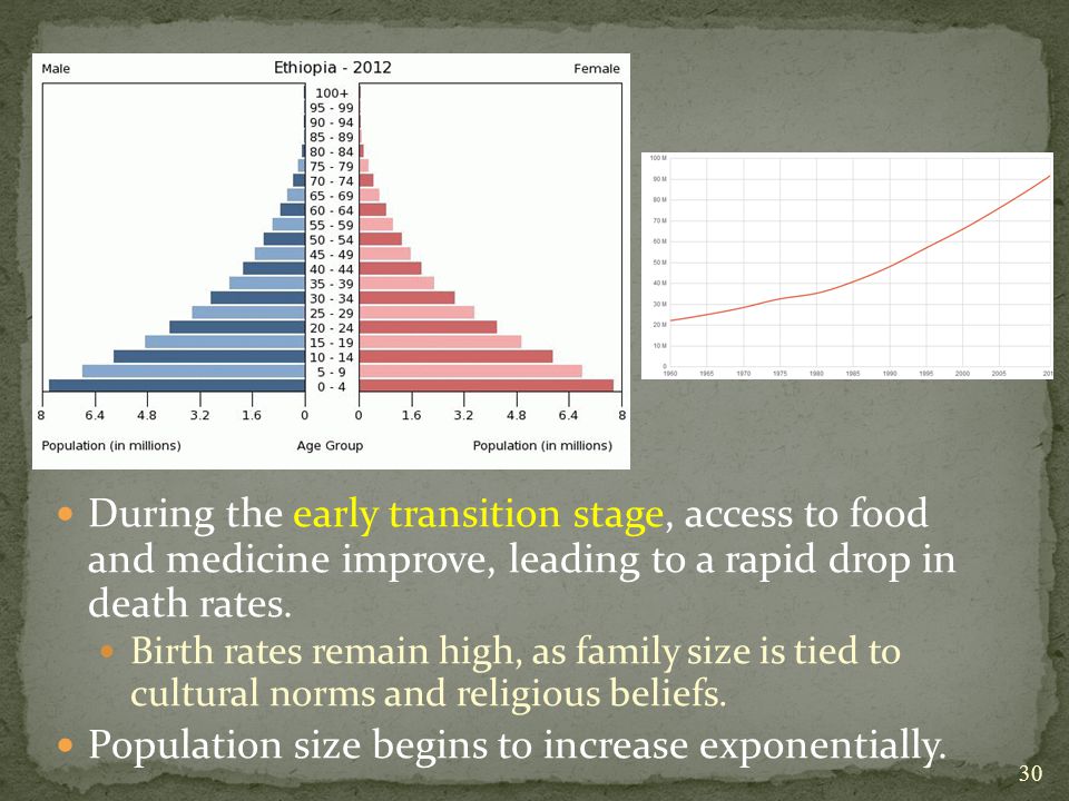 During the early transition stage, access to food and medicine improve, leading to a rapid drop in death rates.
