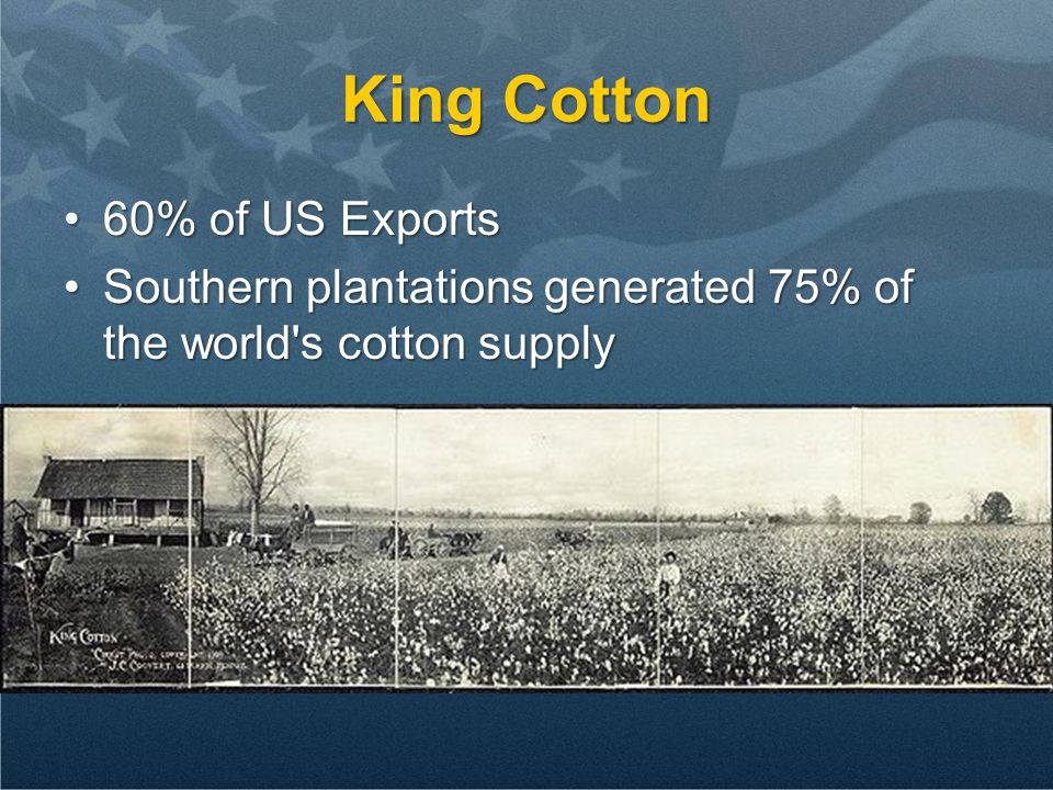 King Cotton 60% of US Exports60% of US Exports Southern plantations generated 75% of the world s cotton supplySouthern plantations generated 75% of the world s cotton supply